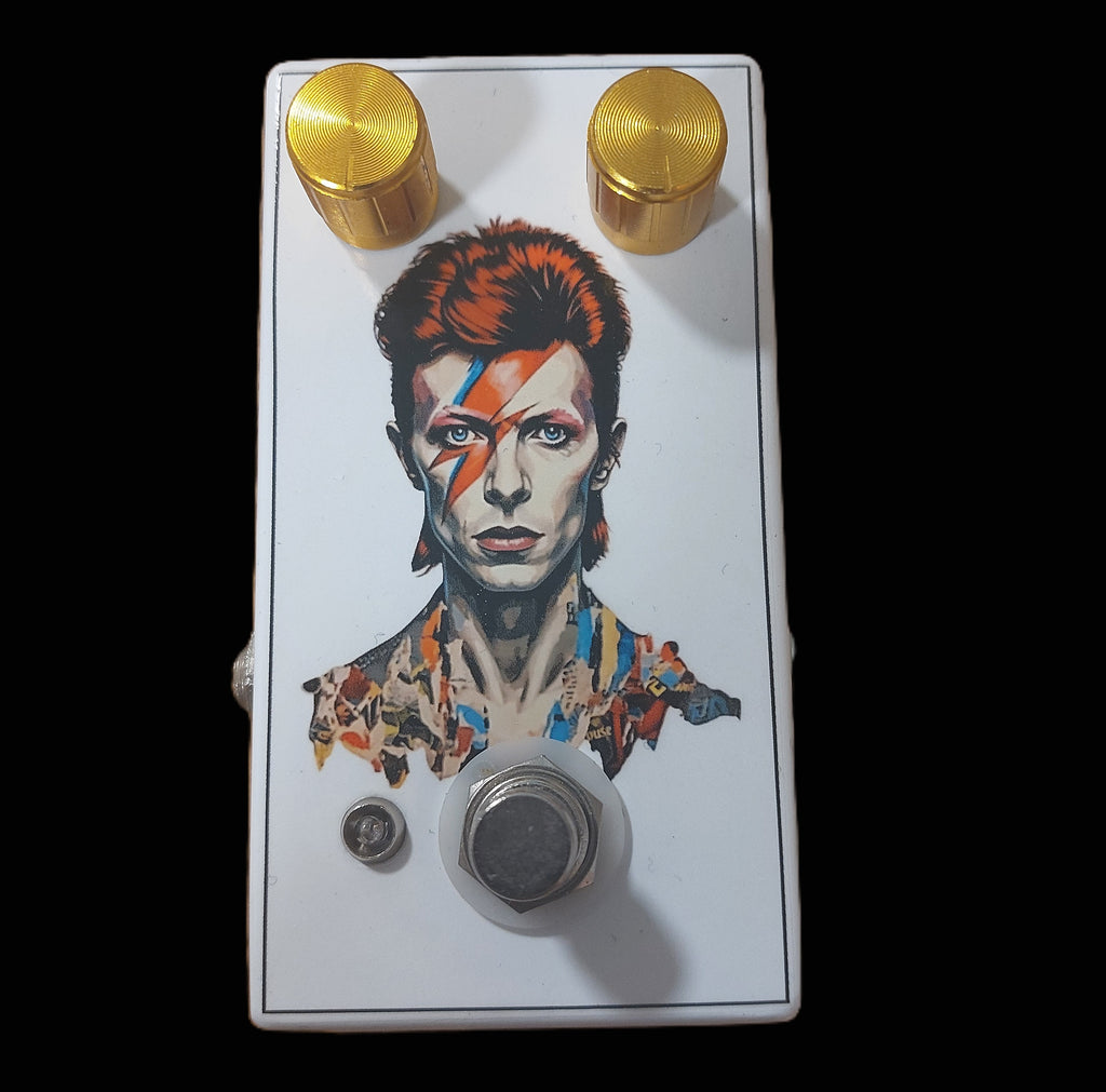 Ziggy